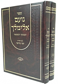 noam.jpg